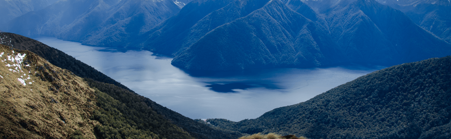 Статистика одобрения студенческих виз в Новую Зеландию за 2025 год