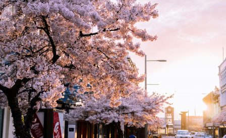 Бесплатный английский перед дипломной программой в SIT