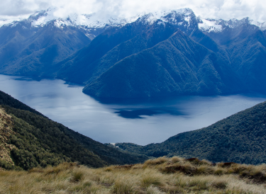 Статистика одобрения студенческих виз в Новую Зеландию за 2025 год