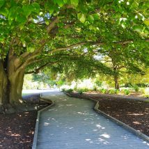 Отзыв Артёма