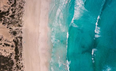 Летняя школа Torrens University