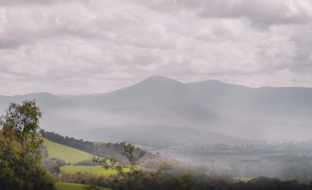 Планы по возвращению иностранных студентов в Австралию