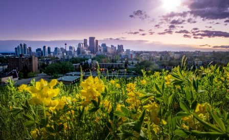 Скидки на обучение английскому в Global Village Канада