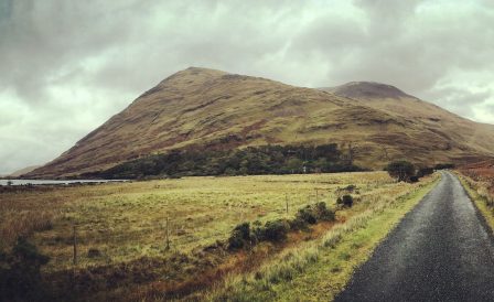 Ирландия смягчила условия въезда